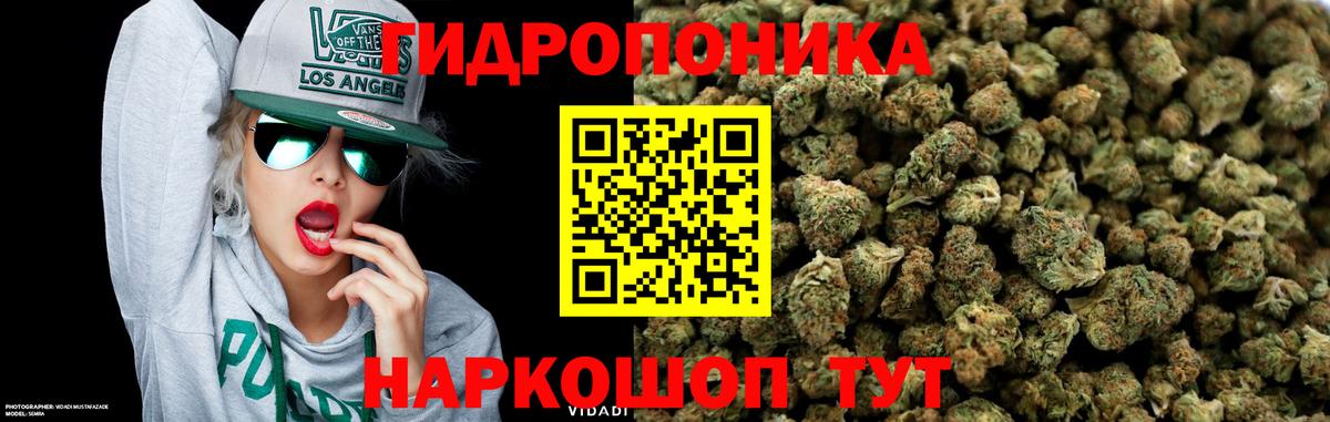Каннабис семена Жигулёвск